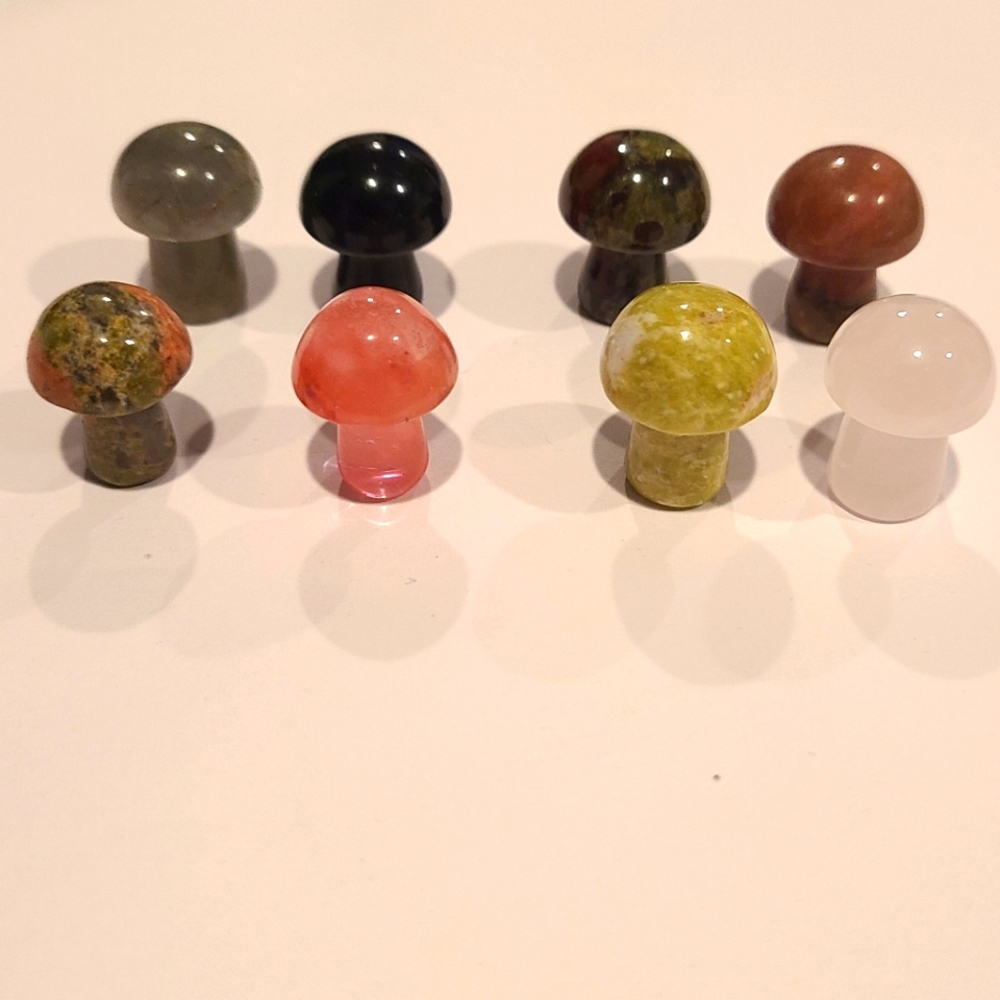 Mini mushrooms stone lot